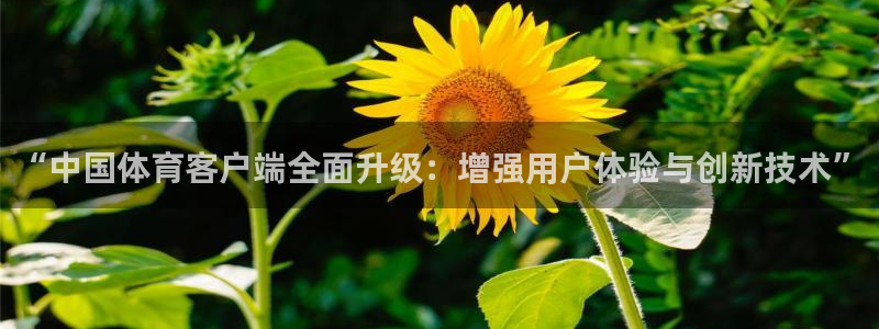 “中国体育客户端全面升级：增强用户体验与创新技术”