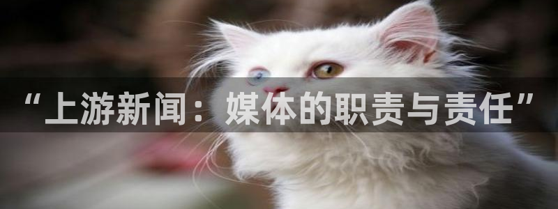 “上游新闻：媒体的职责与责任”