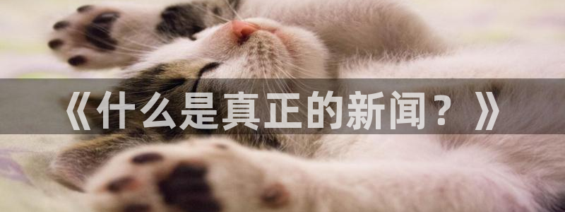 《什么是真正的新闻？》