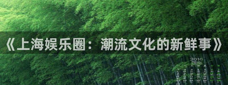 《上海娱乐圈：潮流文化的新鲜事》