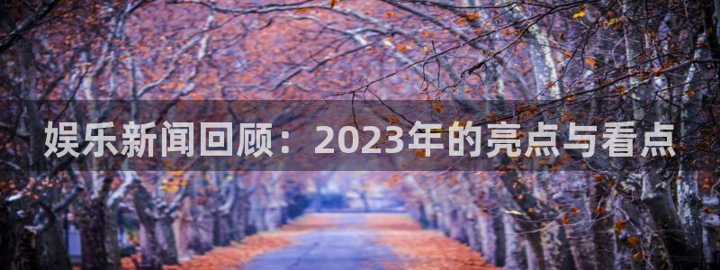娱乐新闻回顾：2023年的亮点与看点