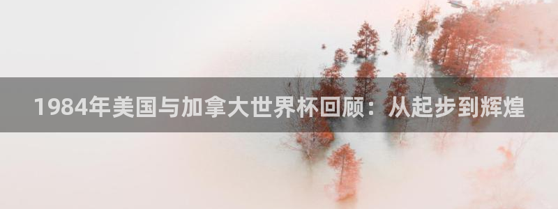 1984年美国与加拿大世界杯回顾：从起步到辉煌