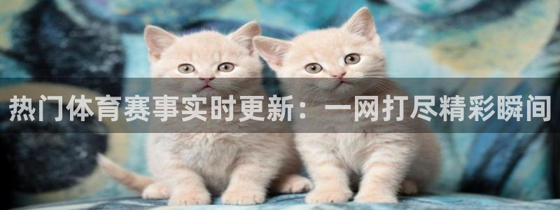 热门体育赛事实时更新：一网打尽精彩瞬间