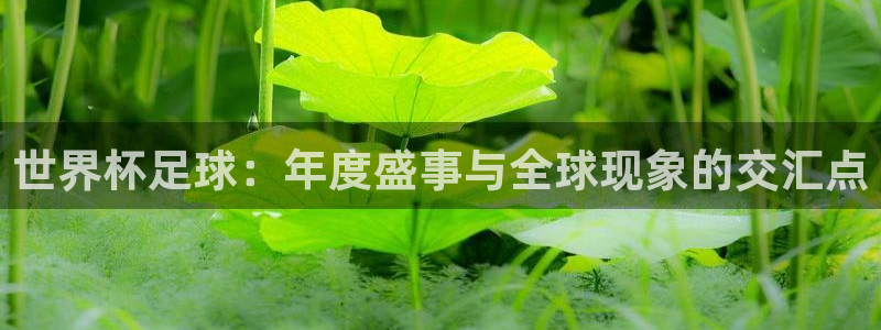 世界杯足球：年度盛事与全球现象的交汇点