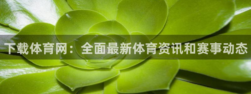 下载体育网：全面最新体育资讯和赛事动态