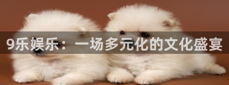 9乐娱乐：一场多元化的文化盛宴