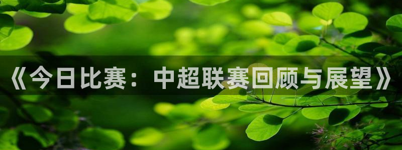 《今日比赛：中超联赛回顾与展望》