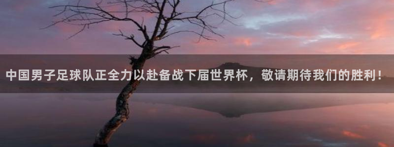 中国男子足球队正全力以赴备战下届世界杯，敬请期待我们的胜利！