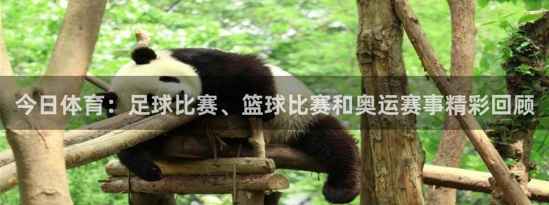 今日体育：足球比赛、篮球比赛和奥运赛事精彩回顾