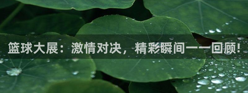 篮球大展：激情对决，精彩瞬间一一回顾!