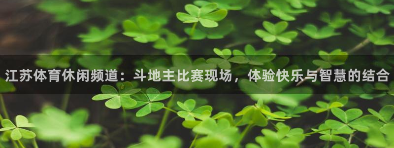 江苏体育休闲频道：斗地主比赛现场，体验快乐与智慧的结合