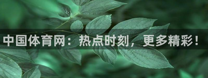 中国体育网：热点时刻，更多精彩！
