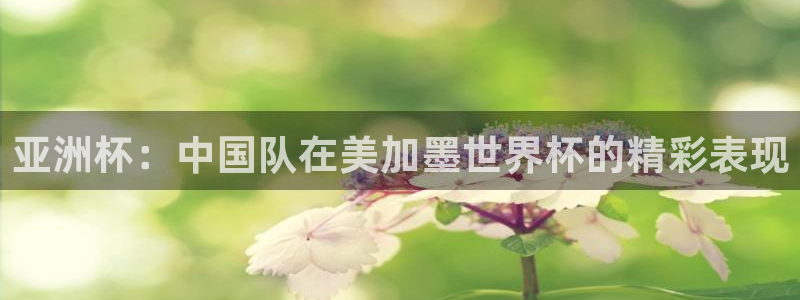 亚洲杯：中国队在美加墨世界杯的精彩表现