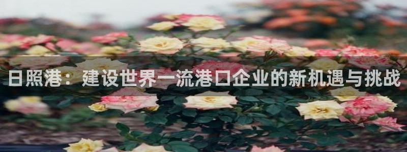 日照港：建设世界一流港口企业的新机遇与挑战
