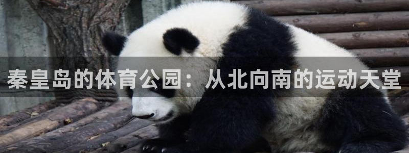 秦皇岛的体育公园：从北向南的运动天堂