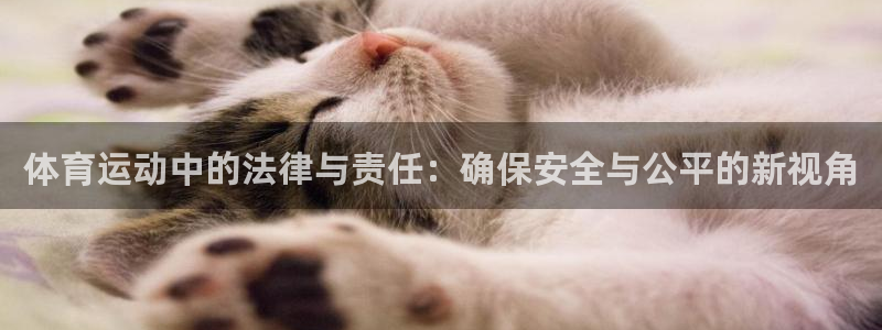 体育运动中的法律与责任：确保安全与公平的新视角