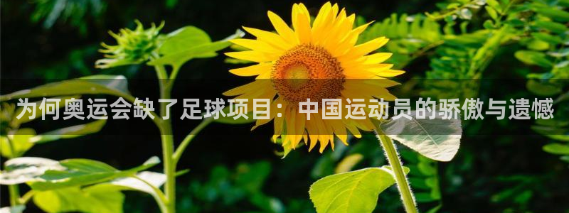 为何奥运会缺了足球项目：中国运动员的骄傲与遗憾
