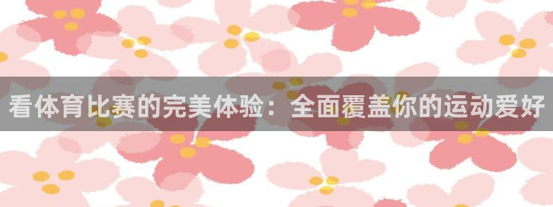 看体育比赛的完美体验：全面覆盖你的运动爱好