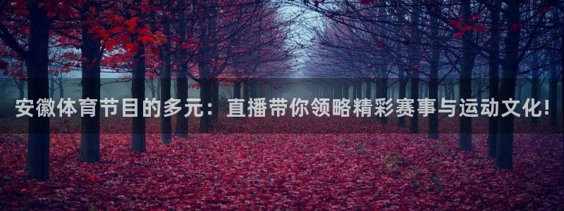 安徽体育节目的多元：直播带你领略精彩赛事与运动文化!